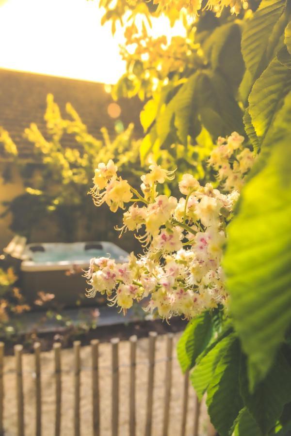Bed and Breakfast Le Petit Nancay Thénioux Esterno foto