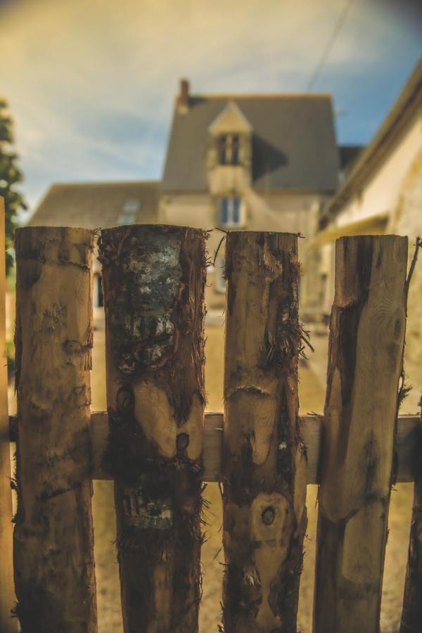 Bed and Breakfast Le Petit Nancay Thénioux Esterno foto
