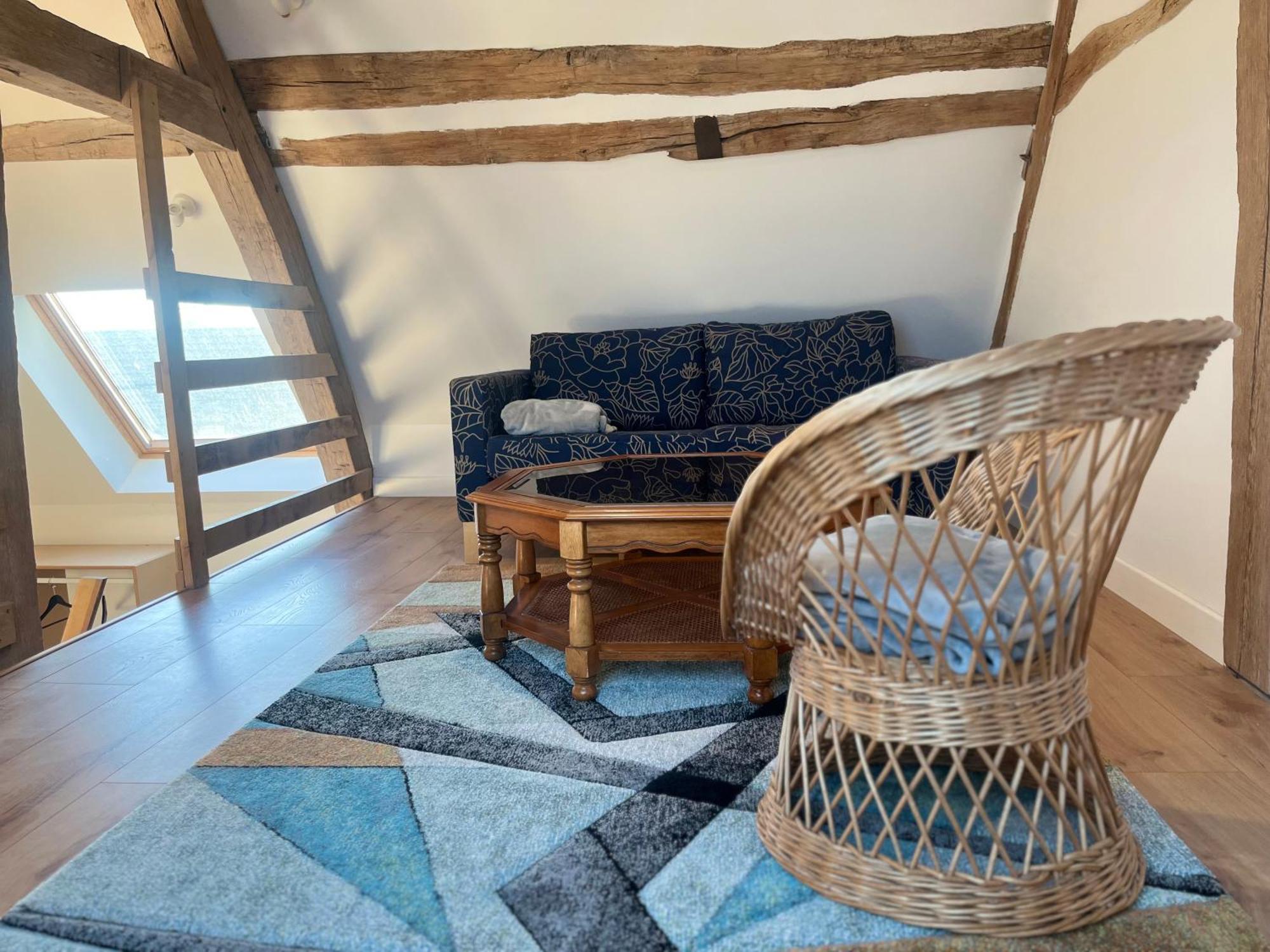 Bed and Breakfast Le Petit Nancay Thénioux Esterno foto